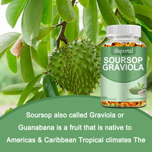 Load image into Gallery viewer, Soursop Graviola - Immune Enhancement Promote Digestion & Cellular Health, Improve Mood and Relieve Stress - 120 Capsules