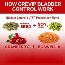 Load image into Gallery viewer, Bladder Control - with Cranberry, Pumpkin Seed Extract - Urinary Tract Health, Supports Healthy Urination - 120 Capsules