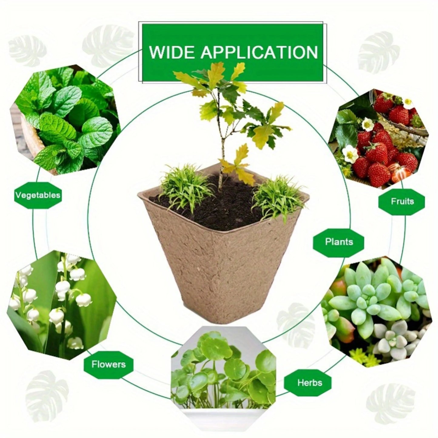 Seed Starter Tray Plants Growing Trays Germination Trays Organic Plant Starter Kit for Seed Growing Germination
