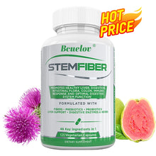 Load image into Gallery viewer, Fiber Probiotic + Prebiotic Supplement, Liver Support, Digestion, Gut Microbiome, Constipation Relief, 120 Capsules
