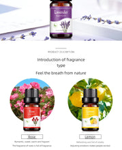 Load image into Gallery viewer, 18 Flavors Essential Oils for Aroma Diffuser Air Humidifier Home Water-soluble 10ml Air Freshener Scents Fragrance Oil Perfume