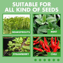 Load image into Gallery viewer, 1 36-piece hydroponic seedling starter kit, indoor soilless vegetable and herb growing system, perfect for balcony gardening