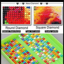 Load image into Gallery viewer, Diamond Painting Abstract Color Cat Animal Cross Stitch Art Painting Full Diamond Mosaic Embroidery Rhinestones Home Decoration