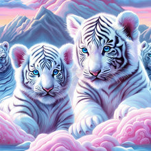 Load image into Gallery viewer, Diamond Art Painting Kits Accessories Paint Full Crystal New Mosaic 5D Diy Diamond Paintings 30x30 cm New 2025 Wall Art Pictures