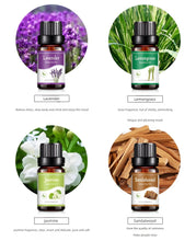 Load image into Gallery viewer, 18 Flavors Essential Oils for Aroma Diffuser Air Humidifier Home Water-soluble 10ml Air Freshener Scents Fragrance Oil Perfume