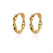 Load image into Gallery viewer, Elegant Round Earrings for Women Girls Luxury Stainless Steel Hoop Earrings Vintage Wedding Engagement Aesthetic Jewerly aretes