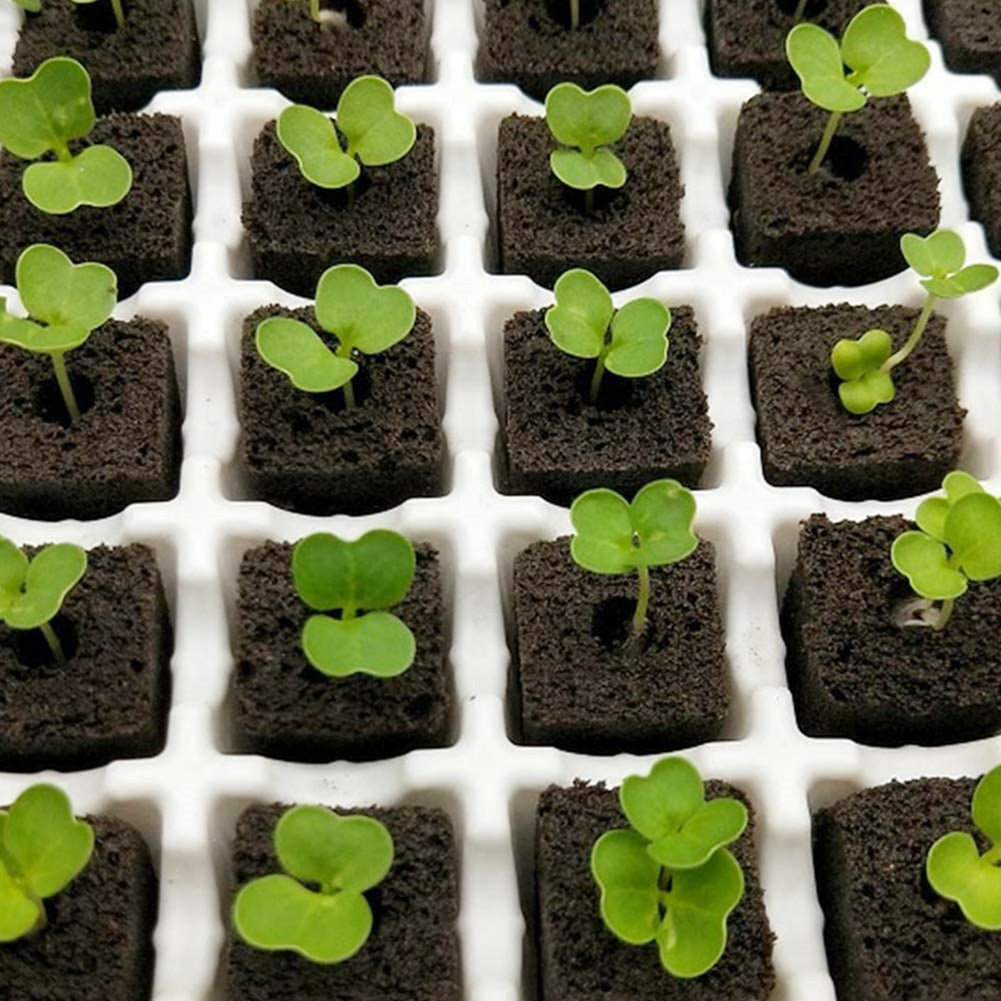 50pcs Seed Root Growth Sponges Soilless Growing Seedling Growth Helper Seed Starter Plugs for Hydroponic Flowers Plants