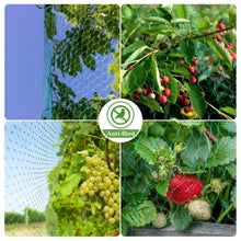 Load image into Gallery viewer, Garden Net Protects Plants with Durable Garden Protection Nets From Birds and Poultry Garden Plant Climbing Nets Gardening Tools