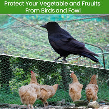 Load image into Gallery viewer, Garden Net Protects Plants with Durable Garden Protection Nets From Birds and Poultry Garden Plant Climbing Nets Gardening Tools