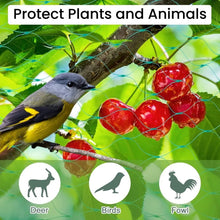 Load image into Gallery viewer, Garden Net Protects Plants with Durable Garden Protection Nets From Birds and Poultry Garden Plant Climbing Nets Gardening Tools