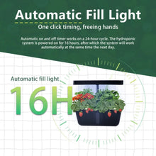 Load image into Gallery viewer, Plant Hydroponic Machine with Lifting Rod Planting Vegetables Intelligent Flowerpot Household LED Lights Hydroponic System