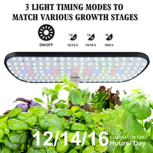 Load image into Gallery viewer, 12 Pods Hydroponics Growing System, Herb Garden Kit Indoor Adjustable Height with Automatic Timer 20-Watt LED Grow Light