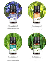 Load image into Gallery viewer, 18 Flavors Essential Oils for Aroma Diffuser Air Humidifier Home Water-soluble 10ml Air Freshener Scents Fragrance Oil Perfume