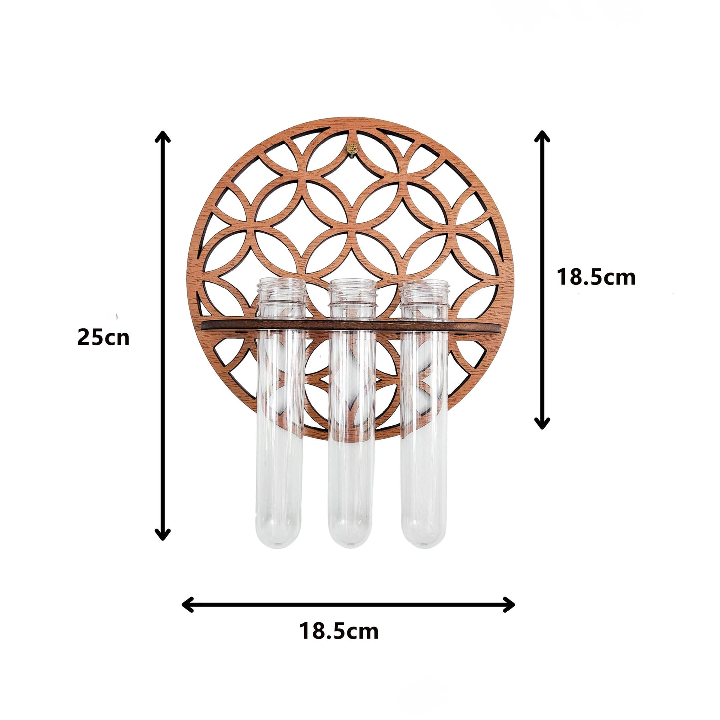 Garden Wall Planters Indoor Wooden Circle Plant Hanger Wall Hanging Flower Vase Rack with 3 Test Tubes Plant Propagation Station