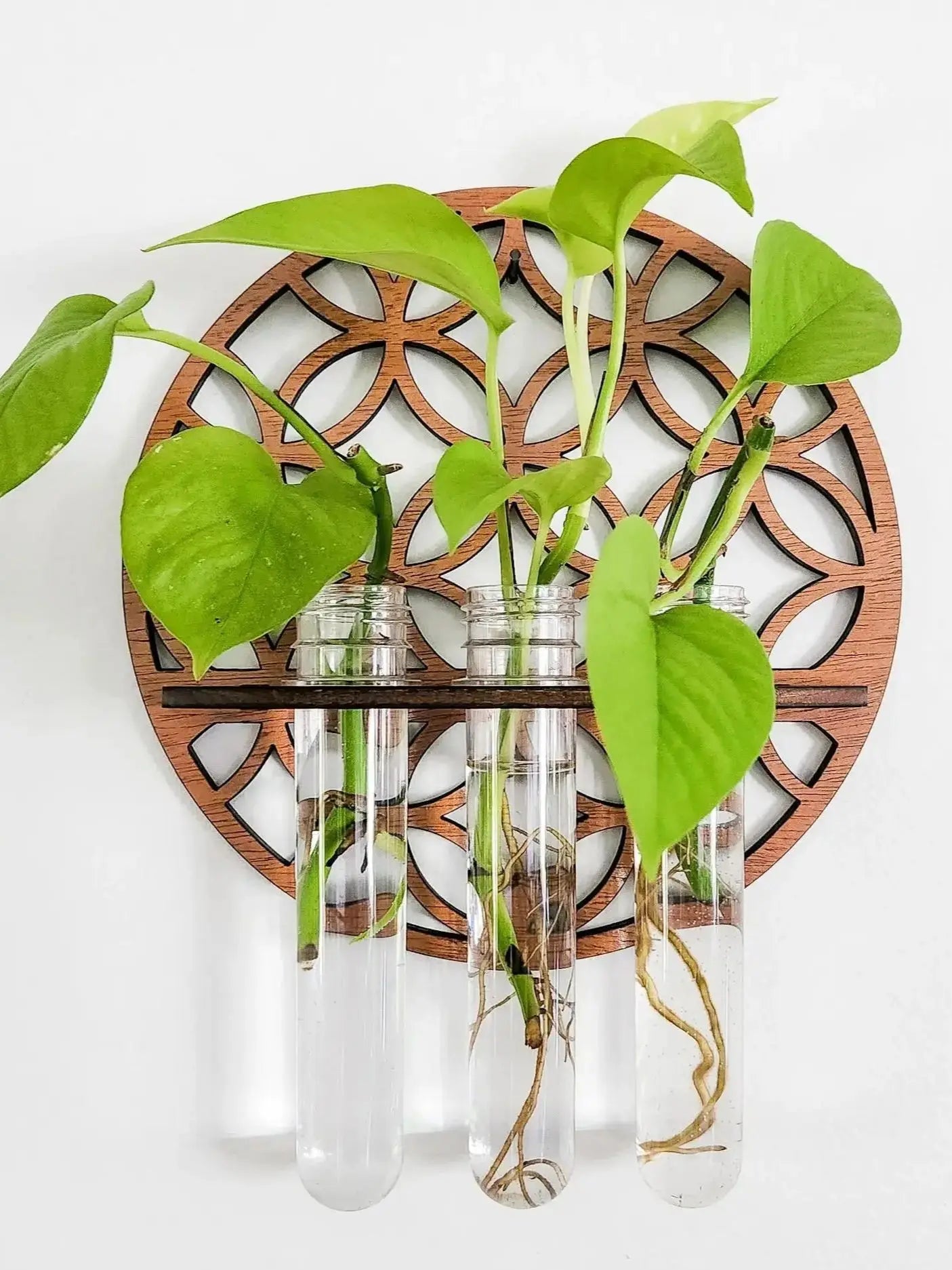 Garden Wall Planters Indoor Wooden Circle Plant Hanger Wall Hanging Flower Vase Rack with 3 Test Tubes Plant Propagation Station