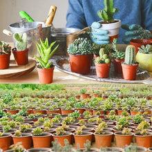Load image into Gallery viewer, 75Pcs Flexible Plant Nursery Pots Seed Starting Pots Plastic Flower Plant Container for Succulents Seedlings Cuttings Transplant