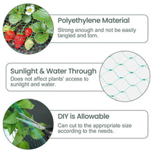 Load image into Gallery viewer, Garden Net Protects Plants with Durable Garden Protection Nets From Birds and Poultry Garden Plant Climbing Nets Gardening Tools