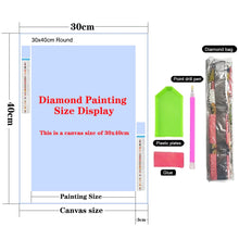 Load image into Gallery viewer, 5D Diamond Painting Anime Girl DIY Cartoon Cross Stitch Full Square Round Diamond Mosaic Embroidery Art Home Decoration Gift