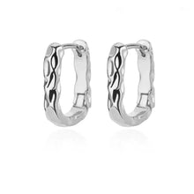 Load image into Gallery viewer, Elegant Round Earrings for Women Girls Luxury Stainless Steel Hoop Earrings Vintage Wedding Engagement Aesthetic Jewerly aretes