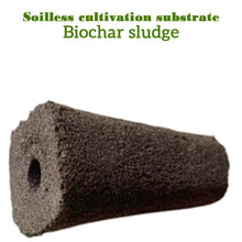 Load image into Gallery viewer, 50pcs Seed Root Growth Sponges Soilless Growing Seedling Growth Helper Seed Starter Plugs for Hydroponic Flowers Plants