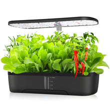 Load image into Gallery viewer, 12 Pods Hydroponics Growing System, Herb Garden Kit Indoor Adjustable Height with Automatic Timer 20-Watt LED Grow Light