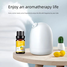 Load image into Gallery viewer, 18 Flavors Essential Oils for Aroma Diffuser Air Humidifier Home Water-soluble 10ml Air Freshener Scents Fragrance Oil Perfume
