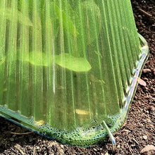 Load image into Gallery viewer, Seedling Protective Cover Accessories Plant Garden Greenhouses Vegetable Seedlings Grow Nursery Outdoor Greenhouse Supplies