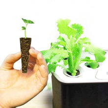 Load image into Gallery viewer, 50pcs Seed Root Growth Sponges Soilless Growing Seedling Growth Helper Seed Starter Plugs for Hydroponic Flowers Plants