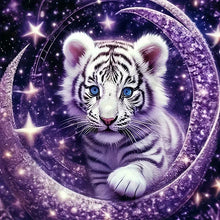 Load image into Gallery viewer, Diamond Art Painting Kits Accessories Paint Full Crystal New Mosaic 5D Diy Diamond Paintings 30x30 cm New 2025 Wall Art Pictures