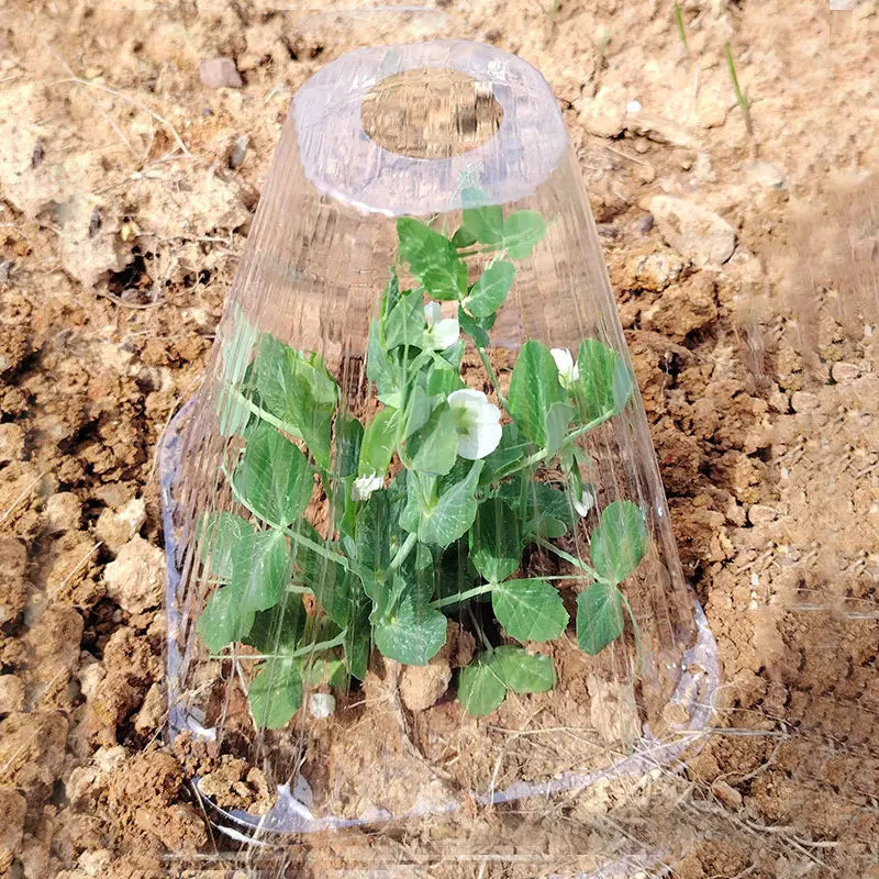 Seedling Protective Cover Accessories Plant Garden Greenhouses Vegetable Seedlings Grow Nursery Outdoor Greenhouse Supplies
