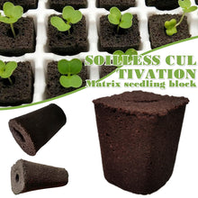 Load image into Gallery viewer, 50pcs Seed Root Growth Sponges Soilless Growing Seedling Growth Helper Seed Starter Plugs for Hydroponic Flowers Plants