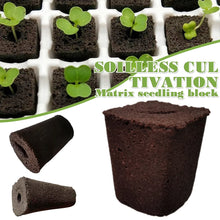 Load image into Gallery viewer, 50pcs Seed Root Growth Sponges Soilless Growing Seedling Growth Helper Seed Starter Plugs for Hydroponic Flowers Plants