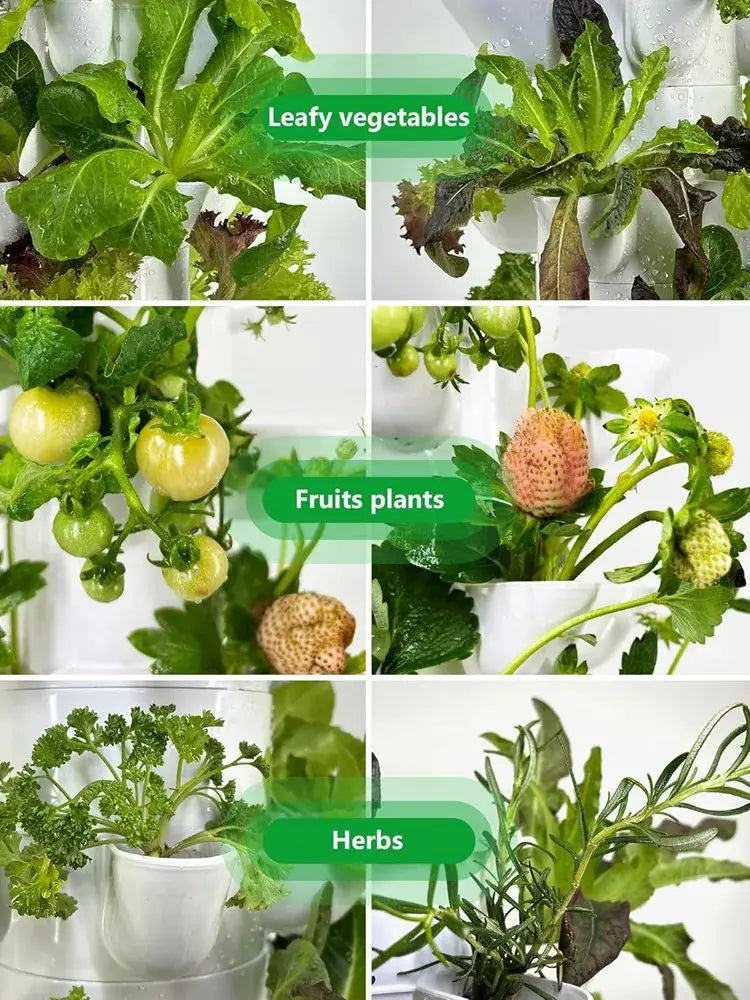 Hydroponic Growing System 6 Layers 3 Plant Sites 18 Holes , Home Gardening System Kit for or Indoor Herbs, Fruits and Vegetables