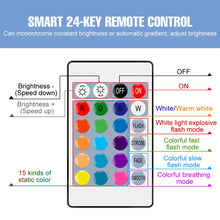 Load image into Gallery viewer, RGB Neon Light E27 Multi Color Lamp 220V LED Colorful Bulb With IR Remote Control 20W 25W LED Holiday Decoration
