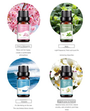 Load image into Gallery viewer, 18 Flavors Essential Oils for Aroma Diffuser Air Humidifier Home Water-soluble 10ml Air Freshener Scents Fragrance Oil Perfume