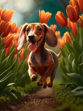 Load image into Gallery viewer, Dachshund 5D Diamond Painting Cute Pet Dog Art Mosaic Portrait DIY Diamond Embroidery Room Home Decor Art Rhinestones Handicraft