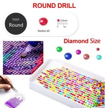 Load image into Gallery viewer, Jurassic World 5D Diamond Painting Kits Dinosaur Sticking Diamond Embroidery Handmade DIY Mosaic Home Decoration Children's Gift