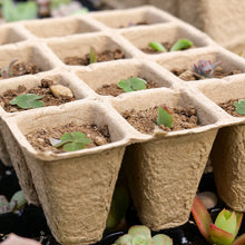 Load image into Gallery viewer, Seed Starter Tray Plants Growing Trays Germination Trays Organic Plant Starter Kit for Seed Growing Germination