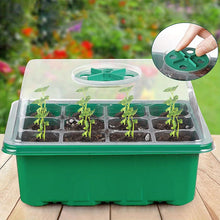 Load image into Gallery viewer, 1pc, Green Seedling Pot, Household Outdoor Seedling Plug Tray, Special Pot Nutrition Cup, Plastic Rectangular Tray, Cutting Seedling Artifact