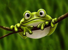 Load image into Gallery viewer, 5D Diamond Painting Green Frog on Limb Bead Art DIY Cross Stitch Embroidery Background Painting Home Decor Ships from USA