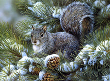 Load image into Gallery viewer, Grey Squirrel DIY Full Round Drill Diamond Painting Forest Animal Beaded Artwork Pine Tree Home Decor Ships from USA