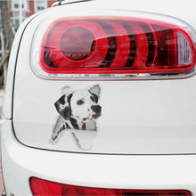 Load image into Gallery viewer, 3D Vivid Dog Wall Hole Stickers For Car Truck Kids Rooms Decorations Home Decor Wall Refrigerator Car Mural Art Decals