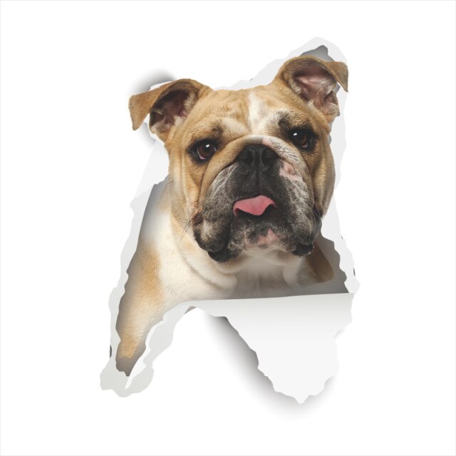 3D Vivid Dog Wall Hole Stickers For Car Truck Kids Rooms Decorations Home Decor Wall Refrigerator Car Mural Art Decals