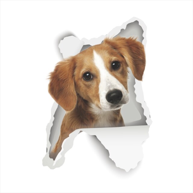 3D Vivid Dog Wall Hole Stickers For Car Truck Kids Rooms Decorations Home Decor Wall Refrigerator Car Mural Art Decals