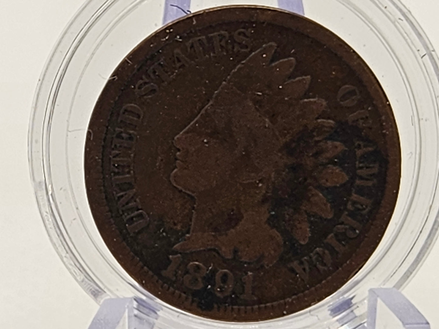 1891 Indian Head Penny United States of America Invest Now Coin Collators