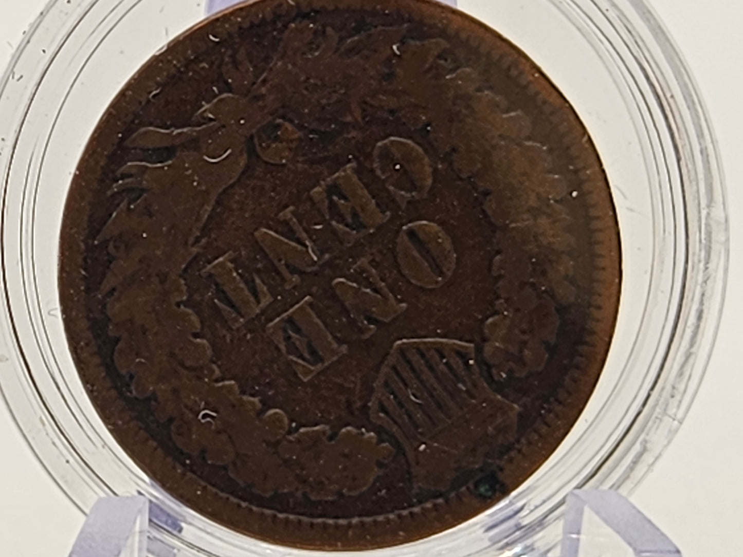 1891 Indian Head Penny United States of America Invest Now Coin Collators