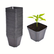 Load image into Gallery viewer, 100 PCS 4&quot; Square Seedling Pots Nursery Seeds Starting Plants Cuttings Plastic
