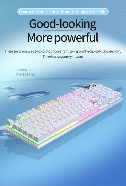 Universal Gaming Keyboard USB Wired Keyboard, Luminous Keyboard For Computer Laptop Notebook Easter Gift