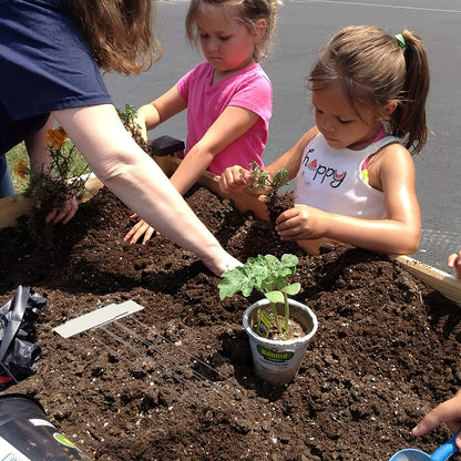 1pc Stainless Steel Seeder Tool Kit, Seedling Opener, For Seedling