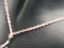 Load image into Gallery viewer, Gem Stone King Brand Silver Necklace with Diamond Pendant and Earrings
